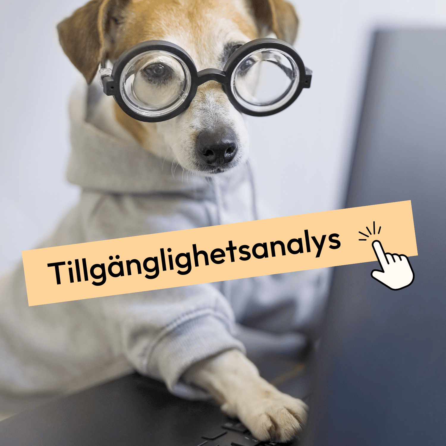 Hund med glasögon som sitter framför en dator. Text som säger Tillgänglighetsanalys. 
