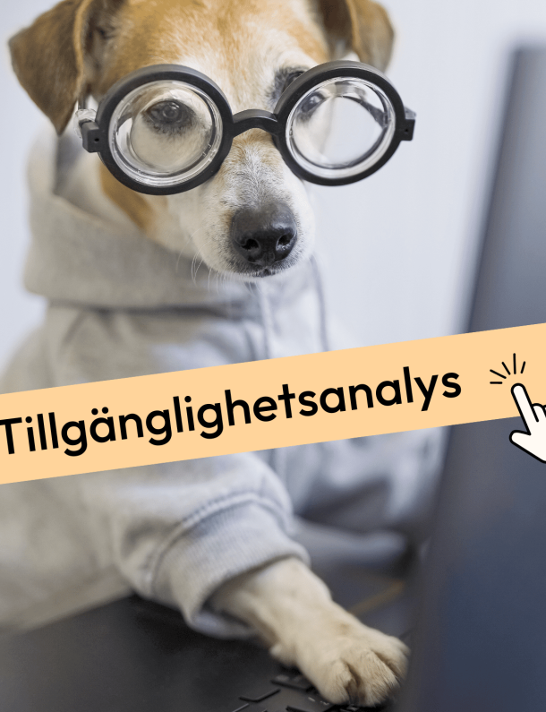 Hund med glasögon som sitter framför en dator. Text som säger Tillgänglighetsanalys.